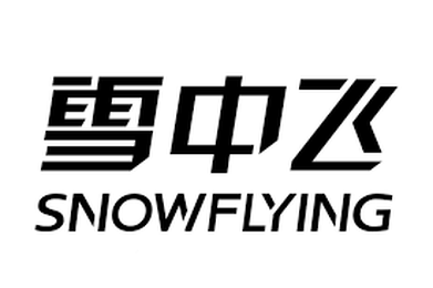 Snowflying